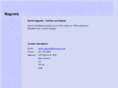 magnetausa.com