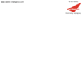 identity-intelligence.com