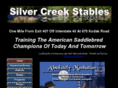 silvercreekstable.com