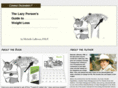 lazyprojects.info