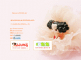 ddungshop.net