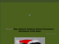 wirmonvipeltajat.com