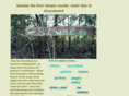 slownesss.com