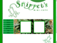 snippetsminicuts.com