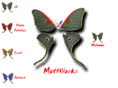 mothworks.org