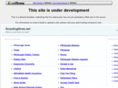 scoutingthree.net