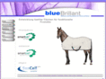bluebrillant.com