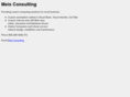 meisconsulting.com