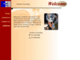 techservconsulting.com