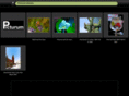 picturum.com