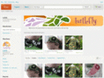 turtlefly.net
