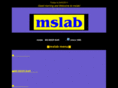 mslab.com