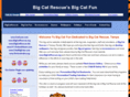 bigcatfun.com