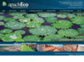 apacheco.com