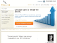 drupal6searchengineoptimization.com