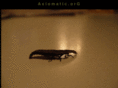 axiomatic.org