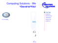 computingsolutions.ws