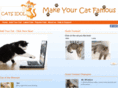 catsidol.com