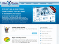 bluemoosewebdesign.net