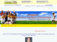 chinesesoftballfoundation.org