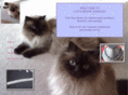 catsmeowjewelry.net