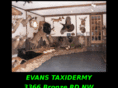 evanstaxidermy.com