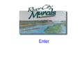 rivercitymurals.com