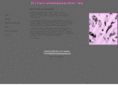 medicidesignstudio.com