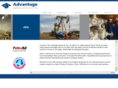 advantageenergy.com