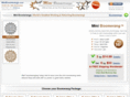 miniboomerangs.com