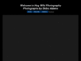 hogwildphotography.com