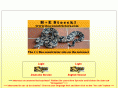 boa-constrictors.com
