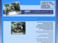 guy-shoval.info