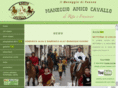amicocavallo.org