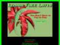 lizardfreelotto.com
