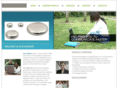 dvoicetech.com