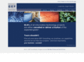 gefconsulting.com
