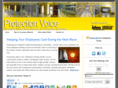 protectionvoice.com