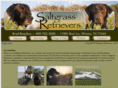 saltgrassretrievers.com