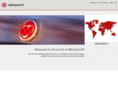 moehlenhoff.net