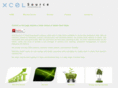 xcel-source.com