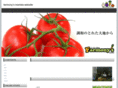 farmonys-maniwa.com