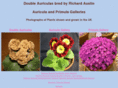 doubleauricula.com