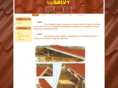 tejasalvy.com