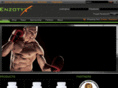 enzotyx.net