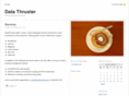 datathruster.com
