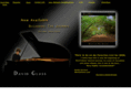 davidglasspiano.com
