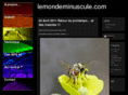 lemondeminuscule.com