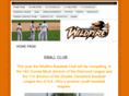 wildfirebaseball.com