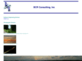 bcrconsulting.com